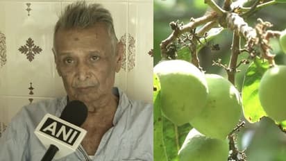 'മാംഗോ മാന്‍' എന്നറിയപ്പെടുന്ന എണ്‍പത്തിനാലുകാരന്‍; ഇദ്ദേഹത്തിന്റെ കഥയറിയാമോ?