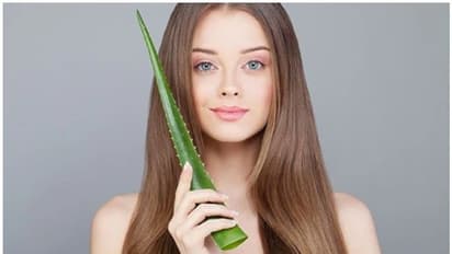 കരുത്തുറ്റ മുടിയ്ക്ക് കറ്റാർവാഴ; ഉപയോ​ഗിക്കേണ്ട വിധം...