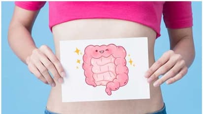 കുടലിന്റെ ആരോ​ഗ്യത്തിനായി കഴിക്കേണ്ട നാല് ഭക്ഷണങ്ങൾ