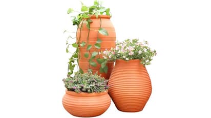 फेंगशुई टिप्स: ध्यान रखें ये 7 बातें, घर में हमेशा बनी रहेगी सुख-शांति और समृद्धि