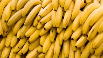 നേന്ത്രപ്പഴം നന്നായി പഴുത്തതാണോ കുറച്ച് പഴുത്തതാണോ ഇഷ്ടം? അറിയാം ഇവയുടെ ഗുണങ്ങള്‍...