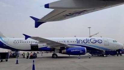IndiGo Loader: লাগেজ তুলে ক্লান্ত, বিমানে ঘুমিয়ে আবুধাবি পৌঁছে গেলেন বিমানকর্মী