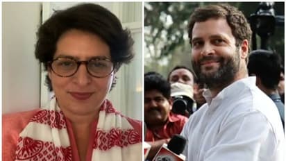 കൊവിഡ് നിരീക്ഷണം: പ്രിയങ്കയില്ല, രാഹുൽ ഞായറാഴ്ച നേമത്തും തലസ്ഥാനത്തും, നാളെ കോഴിക്കോടെത്തും