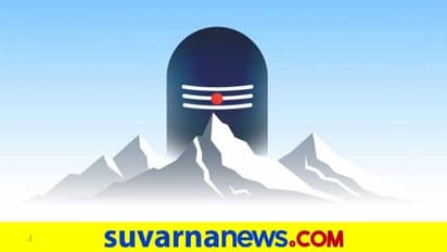 ಸ್ಟ್ರೆಸ್ ಮುಕ್ತವಾಗಿಸೋ ಹಸಿರು, ಈ ಸಸ್ಯಗಳು ಇರಲಿ ನಿಮ್ಮನೆ ಸುತ್ತು ಮುತ್ತ!