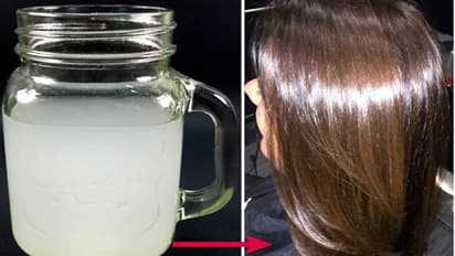 हजारों के शैंपू की बोतल को फेल कर देता है चावल का पानी, बालों में डालते ही दिखेगा असर