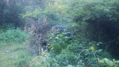 इस जंगल में मिला देश का सबसे बड़ा हीरा भंडार, 3.42 करोड़ कैरेट हीरा होने का अनुमान