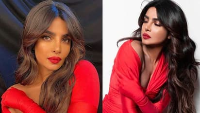 When Priyanka Chopra was termed 'the most hated woman in Bollywood'; here's what she said