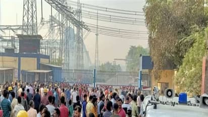 ভোটের আগের রাতে BJP-র কর্মীর মাকে খুন, কাঠগড়ায় তৃণমূল