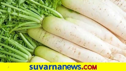 Health Tips : ಮೂಲಂಗಿಯನ್ನು ಹೀಗೆ ತಿಂದ್ರೆ ಗ್ಯಾಸ್ ಸಮಸ್ಯೆ ಕಾಡಲ್ಲ..