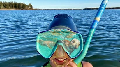 കുപ്പികളും, പ്ലാസ്റ്റിക്കുകളും, പഴയ വസ്ത്രങ്ങളും വലിച്ചെറിയും മുമ്പ് ഈ ചിത്രങ്ങൾ കാണുക!