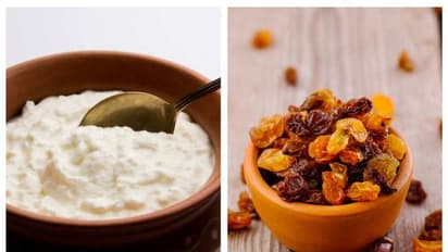 Dahi-Kishmis Health Benefits: घड़ी में इतने बजते ही खाएं 1 कटोरी दही में 4-5 किशमिश, फायदे देख हो जाएंगे हैरान