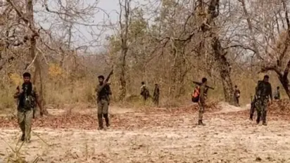 13 Naxals gunned down in Gadchiroli forest encounter