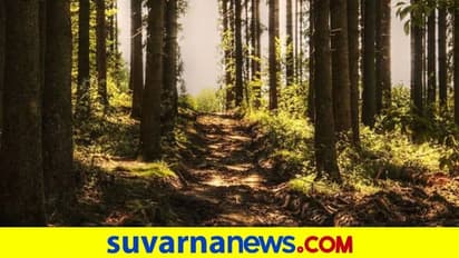 ಬೇಟೆ ವೇಳೆ ಸ್ನೇಹಿತ ಬಲಿ, ನೊಂದ 3 ಸ್ನೇಹಿತರ ಆತ್ಮಹತ್ಯೆ!