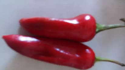 घर पर आसानी से बनाएं रेड चिली सॉस, खाते ही कहेंगे- उफ्फ उफ्फ मिर्ची