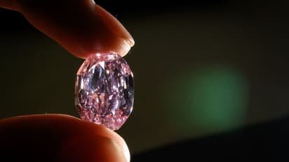 పొలం పనుల్లో వరించిన అదృష్టం... కోటీశ్వరుడైన రైతు