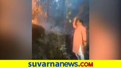 ಕಾಡ್ಗಿಚ್ಚು ಆರಿಸಲು ಏಕಾಂಗಿ ಯತ್ನಿಸಿದ ಅರಣ್ಯ ಸಚಿವ!