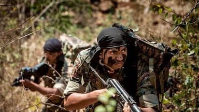 গভীর রাতে সীমান্তে গুলির লড়াইয়ে খতম মাওবাদী, প্রচুর বিস্ফোরক উদ্ধার