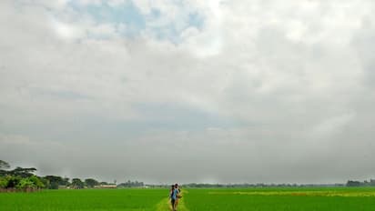 কৃষি না শিল্প - একদশক পর নির্বাচনে ফিরে এল পুরোনো প্রশ্ন, কী বলছে সিঙ্গুর