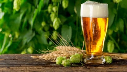 International Beer Day 2022: బీర్ గురించి మీకు ఈ నిజం తెలుసా..?