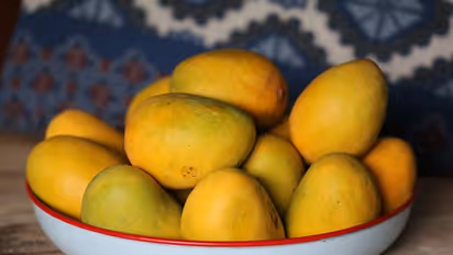 Bahrain: Promotion programme for Indian mangoes begins