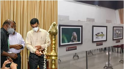അറുപതില്പ്പരം ചിത്രങ്ങളുമായി വന്യജീവി ഫോട്ടോഗ്രഫി പ്രദര്ശനം ആരംഭിച്ചു