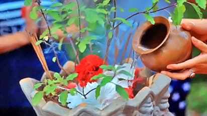 सोमवती अमावस्या 12 अप्रैल को, शुभ फल पाने के लिए इस दिन करें ये उपाय