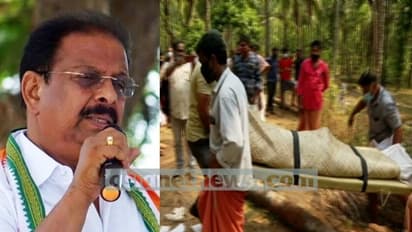 കൂലോത്ത് രതീഷിനെ കൊന്ന് കെട്ടിതൂക്കിയെന്ന് കെ.സുധാകരൻ: സംഭവത്തിൽ ഉന്നത നേതാവിനും പങ്ക് ?