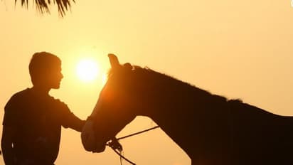 'கர்ணன்' படத்தை பார்த்து விட்டு தாறுமாறாக புகழ்ந்து தள்ளிய பாலிவுட் பட இயக்குனர்..!