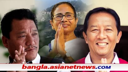 কাকে ভোট দেবেন, কোন 'বন্ধু' মমতার প্রিয়তম - ধন্দে পাহাড়ের তৃণমূল কর্মী-সমর্থকরা