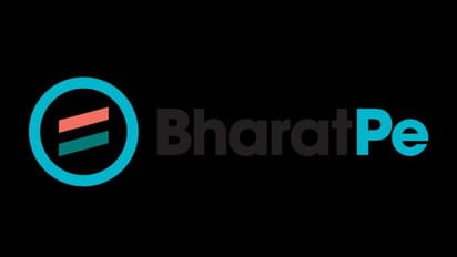 Audit in process: BharatPe CEO Suhail Sameer urges employees to trust board for future action