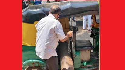 भोपाल में भयावह कोरोना: ऑक्सीजन नहीं मिलने से 5 की मौत, रातभर भटके परिजन..ऑटो से लाते रहे सिलेंडर