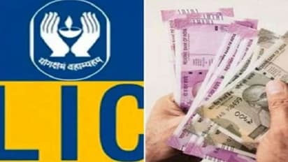 LIC IPO: முதலீ்ட்டாளர்களுக்குத் தூண்டில் போட்ட எல்ஐசி: 3-வது காலாண்டில் வியக்க வைத்த நிகர லாபம்