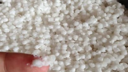 ಸಾಬೂದಾನ ತಿನ್ನೋಲ್ವಾ? ಹಾಗಿದ್ರೆ ಈ ಸುದ್ದಿ ಓದಲೇ ಬೇಕು..