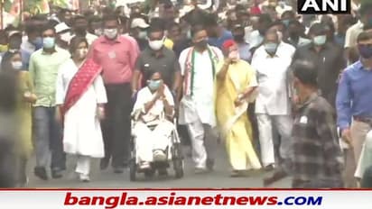 কলকাতার রাজপথে হলুদ শাড়িতে জয়া বচ্চন, ঠেললেন মমতার হুইল চেয়ার