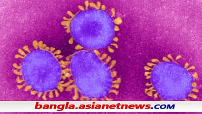 করোনার ডেল্টা সংক্রমণের মধ্যেই নতুন বিপদ LAMBDA , কোভিডের নতুন রূপ নিয়ে সতর্ক করল WHO