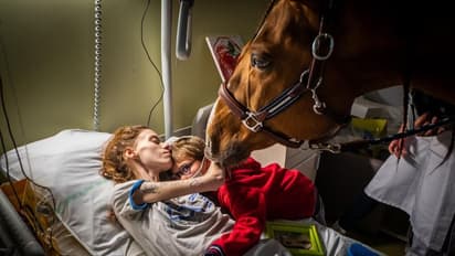 രോ​ഗികൾക്ക് ആശ്വാസവും കരുതലുമേകാൻ ഇവിടെ ഒരു കുതിരയുണ്ട്, അവസാനനാളുകളിലെ സന്തോഷമായി ഡോ. പിയോ...