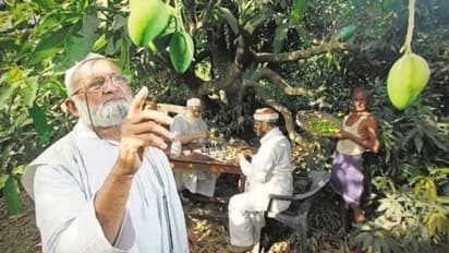 ഒറ്റമാവില് തന്നെ ഉണ്ടാക്കിയെടുത്തത് 300 ഇനം മാമ്പഴങ്ങള്, ഇത് ഇന്ത്യയുടെ 'മാംഗോ മാന്'