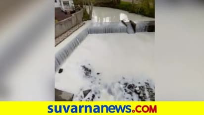 ನೀರಿನ ಬದಲು ನದಿಯಲ್ಲಿ ಉಕ್ಕಿ ಹರಿದ ಹಾಲು: ಪಾತ್ರೆಗಳಲ್ಲಿ ತುಂಬಿ ಕೊಂಡೊಯ್ದ ಜನ!