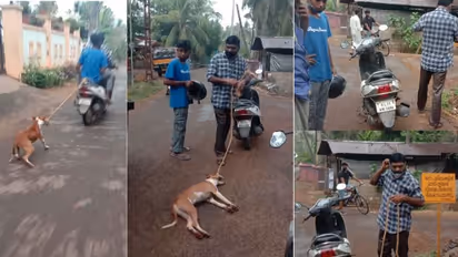 മലപ്പുറം എടക്കരയിൽ വളർത്തുനായെ സ്കൂട്ടറിൽ കെട്ടിവലിച്ച് ഉടമ; നാട്ടുകാർ വിലക്കിയിട്ടും ക്രൂരത തുടർന്നു