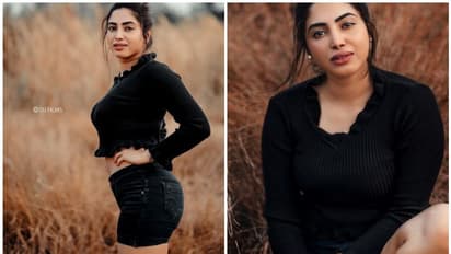 'ഇൻസൾട്ട് ആണ് ഈ ലോകത്തിലെ ഏറ്റവും വലിയ ഇൻവെസ്റ്റ്മെന്റ്', ഫോട്ടോയുമായി അമേയ