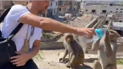 ദാഹിച്ചുവലഞ്ഞ കുരങ്ങന് വെള്ളം കൊടുക്കുന്ന യുവാവ്; വൈറലായി വീഡിയോ