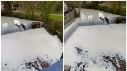 'പാലൊഴുകും പുഴ...' ; അമ്പരന്ന് നാട്ടുകാർ, വെെറലായി വീഡിയോ