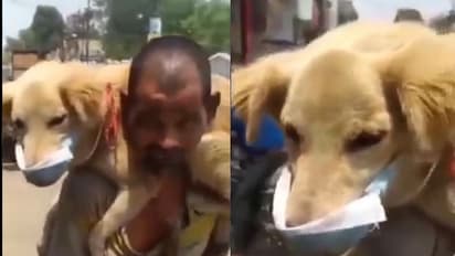 ತನ್ನ ಮಾಸ್ಕ್ ನಾಯಿಗೆ ಹಾಕಿದ ನಿರ್ಗತಿಕ; ಕಾರಣ ಕೇಳಿದರೆ ಸಲ್ಯೂಟ್ ಹೊಡೆಯೋದು ಖಚಿತ!