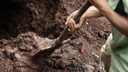 ಭದ್ರಾವತಿ: 150 ನಾಯಿಗಳನ್ನ ಜೀವಂತವಾಗಿ ಹೂತ ದುರುಳರು..!