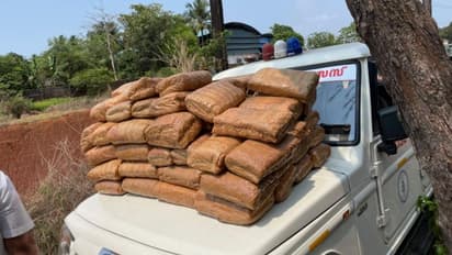 മലുപ്പുറത്ത് വൻ കഞ്ചാവ് വേട്ട: കാറിൽ കടത്താൻ ശ്രമിച്ച 175 കിലോ കഞ്ചാവുമായി രണ്ട് പേർ പിടിയിൽ