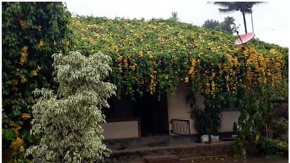 വേനലിനെ ചെറുത്ത്, വീടിനകം തണുപ്പിച്ച്, മേല്‍ക്കൂരയാകെ പൂക്കള്‍ വിരിച്ച വയനാട്ടിലെ വീട്