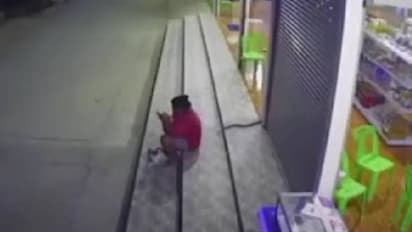 കടയുടെ മുന്നില്‍ ഫോണും നോക്കിയിരുന്ന യുവതിയുടെ പിന്നിലൂടെ ഇഴഞ്ഞെത്തിയത് കൂറ്റൻ പാമ്പ്; പിന്നീട് സംഭവിച്ചത്...