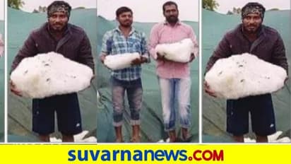 ನೆಲಕ್ಕೆ ಬಿದ್ದ ಕೆಜಿಗಟ್ಟಲೇ ತೂಕದ ಆಲಿಕಲ್ಲು!