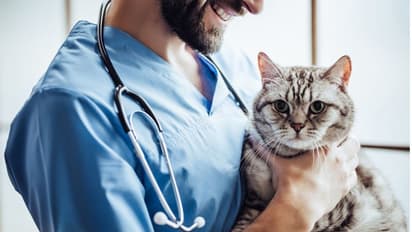 ಸೋಂಕಿನ ಭೀತಿ : ಪ್ರಾಣಿಗಳಿಗೂ ಕೋವಿಡ್ ಲಸಿಕೆ