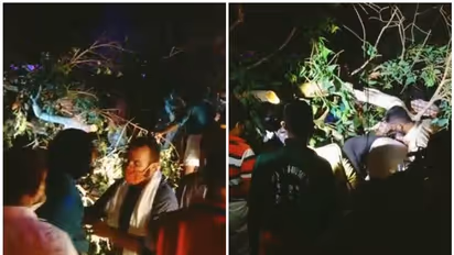 തൃശൂര് പൂരത്തിനിടെ മരം വീണ് അപകടം; തിരുവമ്പാടി ദേവസ്വം അംഗങ്ങളായ രണ്ട് പേര് മരിച്ചു